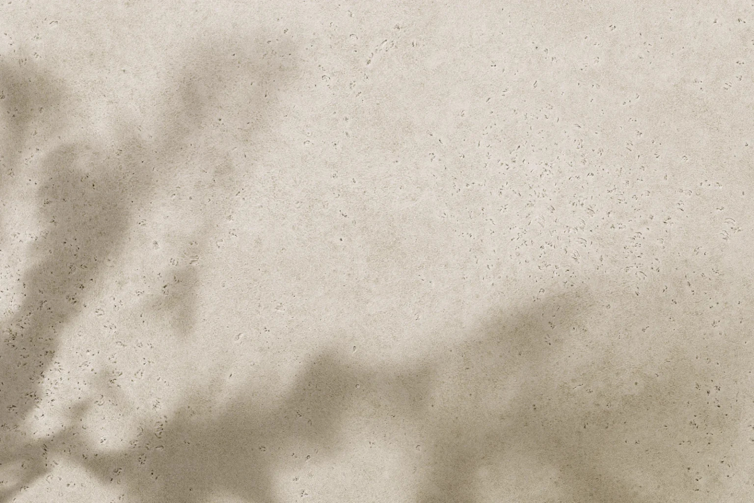 Soft shadow of leaves on a warm plaster wall